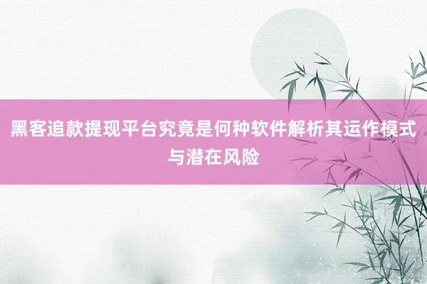 黑客追款提现平台究竟是何种软件解析其运作模式与潜在风险
